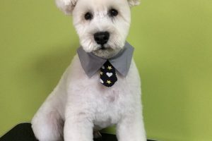 11月のお友達☆