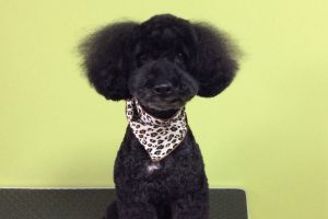 11月のお友達☆