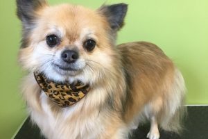 11月のお友達☆