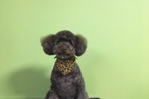 11月のお友達☆