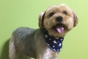 11月のお友達☆