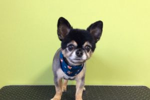 11月のお友達☆