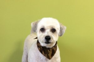 11月のお友達☆