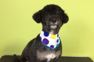 11月のお友達☆