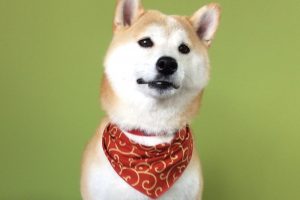 11月のお友達☆