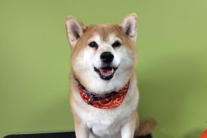 11月のお友達☆