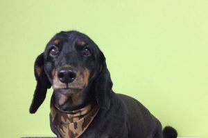 11月のお友達☆