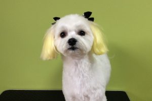 11月のお友達☆