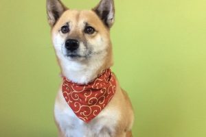 11月のお友達☆