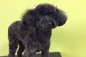 11月のお友達☆