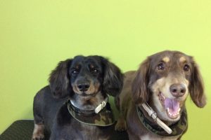 11月のお友達☆