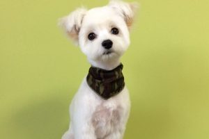 11月のお友達☆