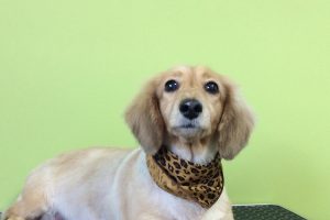 11月のお友達☆