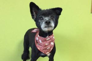 11月のお友達☆