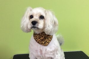 11月のお友達☆