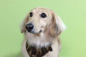 11月のお友達☆