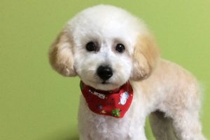 11月のお友達☆