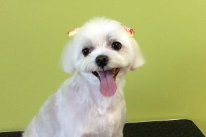 11月のお友達☆