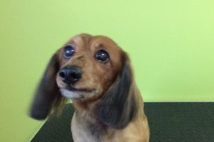 11月のお友達☆