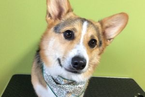 11月のお友達☆