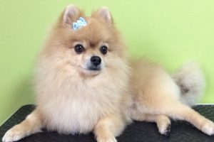 11月のお友達☆