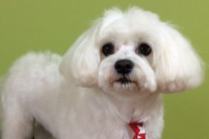 11月のお友達☆