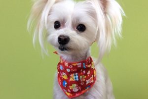 12月のお友達☆