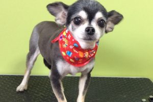 12月のお友達☆