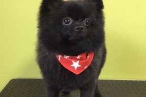 12月のお友達☆