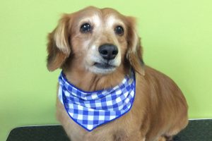 12月のお友達☆