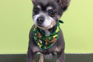 12月のお友達☆