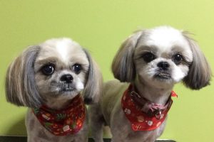 12月のお友達☆