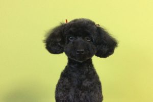 12月のお友達☆