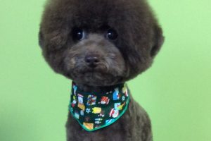 12月のお友達☆