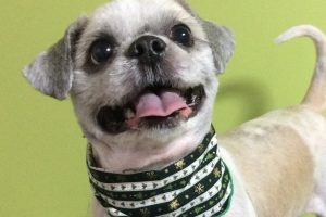 12月のお友達☆