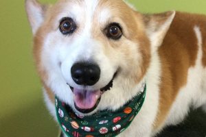 12月のお友達☆