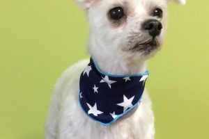 12月のお友達☆