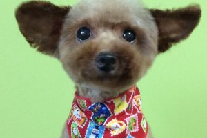 12月のお友達☆