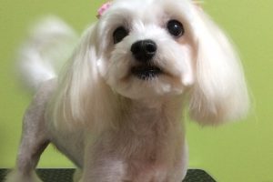 12月のお友達☆