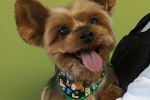 12月のお友達☆