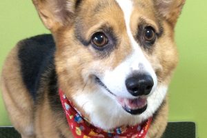 12月のお友達☆