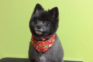 12月のお友達☆