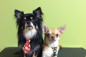 12月のお友達☆