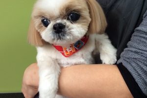 12月のお友達☆