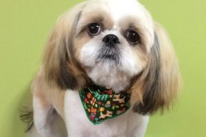 12月のお友達☆