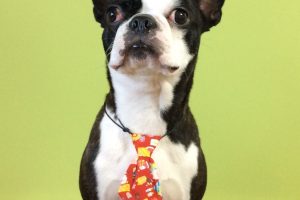 12月のお友達☆