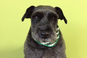 12月のお友達☆