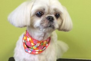 12月のお友達☆