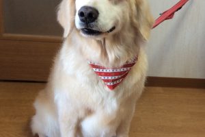 12月のお友達☆