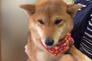 12月のお友達☆